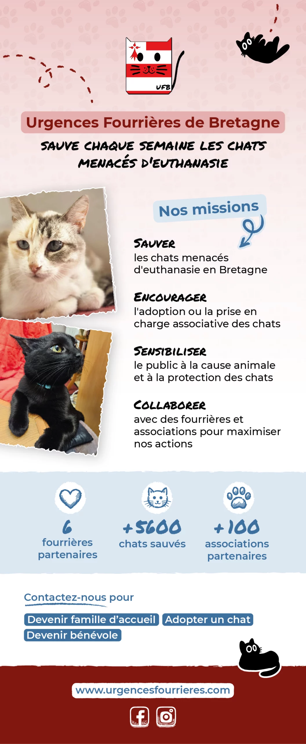 Visuel du roll-up Urgences Fourrières Bretagne, avec des informations clés sur la mission de l'association et l'appel à la solidarité.