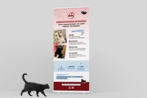 Mockup du roll-up de l'association Urgences Fourrières Bretagne, présentant la mission de sauvetage des chats en fourrière.